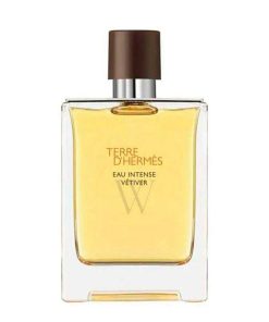 Perfumes Para Hombres HERMÈS | Hermes Terre D'Hermes Eau Intense Vetiver Eau De Parfum 100Ml