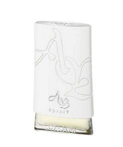 Perfumes Para Hombres LOMANI | Eau De Toilette Lomani Ab Spirit Silver 100Ml