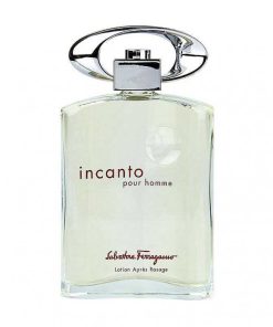 Perfumes Para Hombres SALVATORE FERRAGAMO | Salvatore Ferragamo Incanto Pour Homme 100Ml