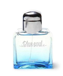 Perfumes Para Hombres SAPIL | Blue Soul Sapil 100Ml